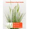 Artificial Cattail Grass 2 PCS, 35" Faux Green Plant for Home and Garden
